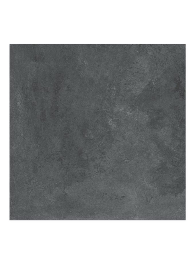 پرسلان آگنو طوسی تیره