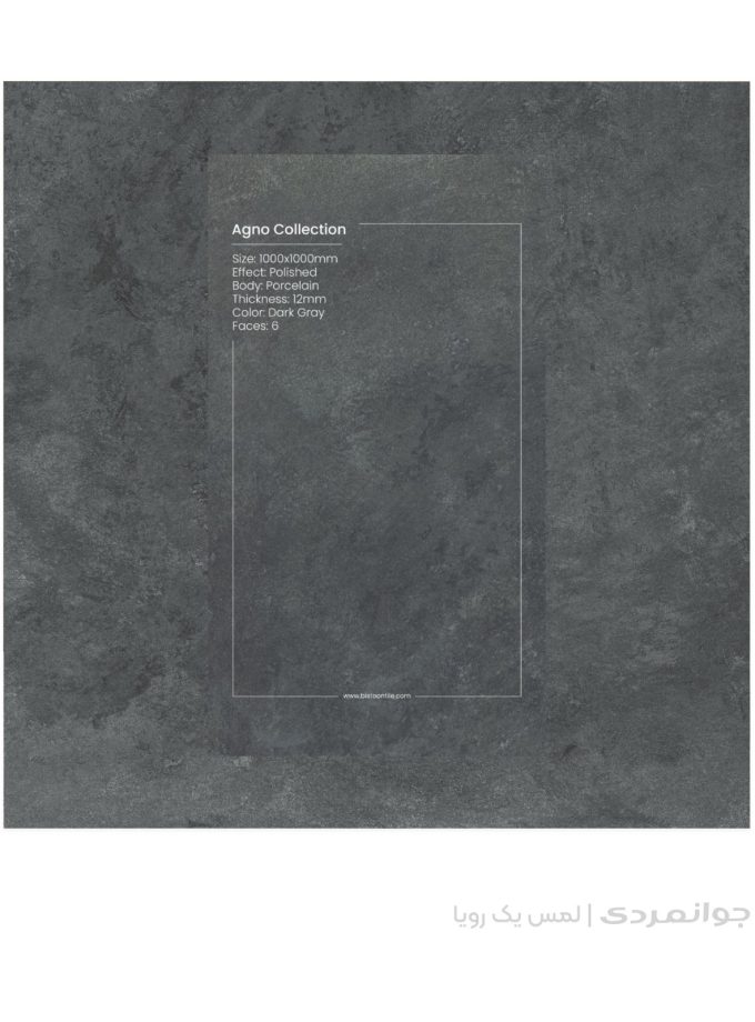 پرسلان آگنو طوسی تیره