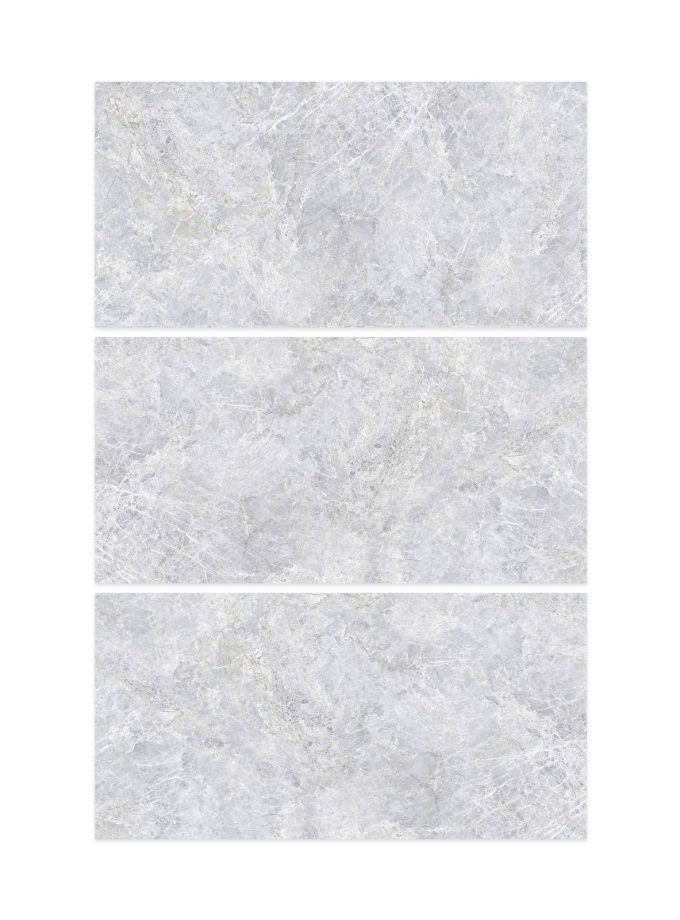 پرسلان پلاریس طوسی