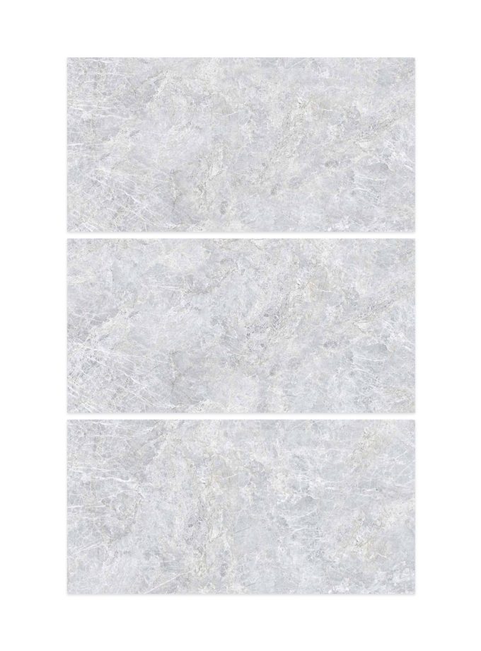 پرسلان پلاریس طوسی