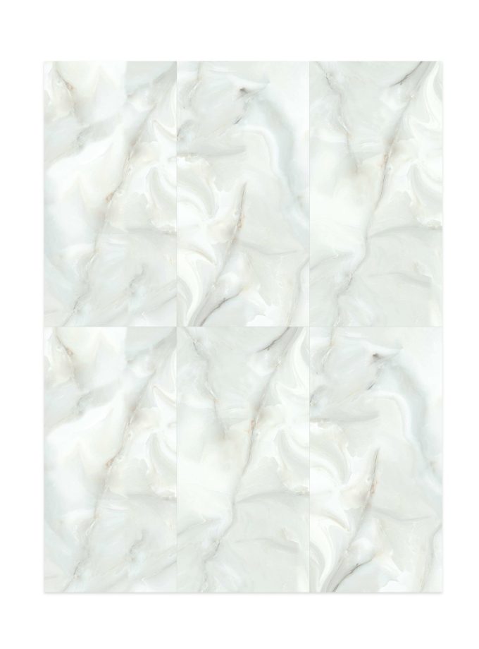 پرسلان آنادیا طوسی