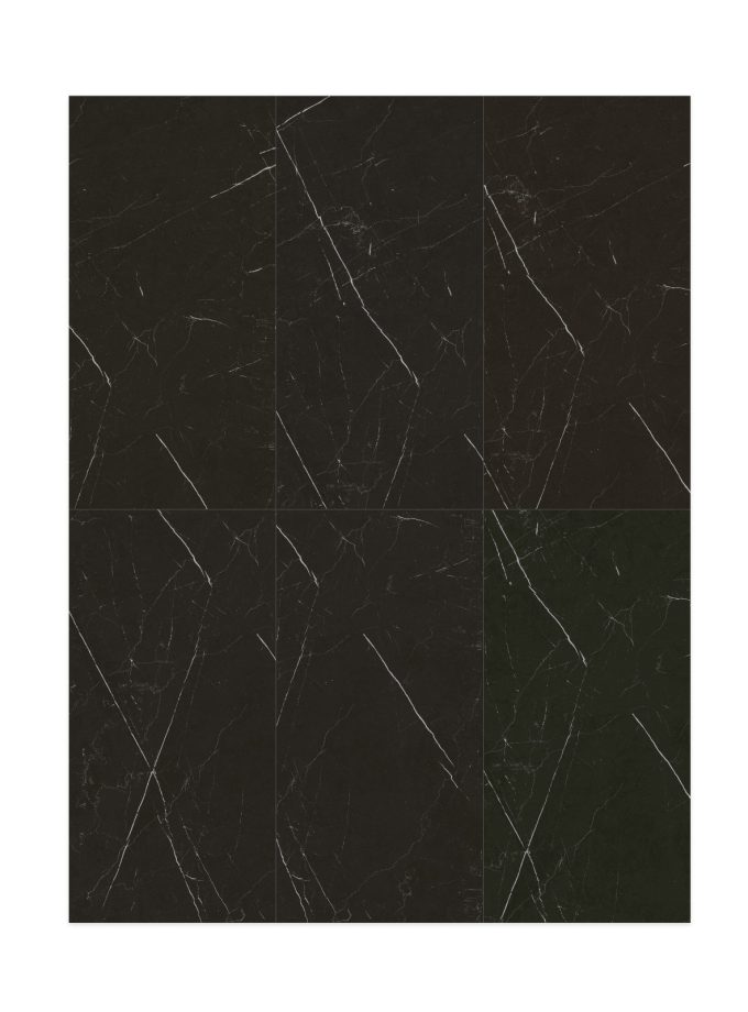 پرسلان کارمن طوسی تیره